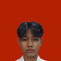 Krisna Cahya Permana Putra