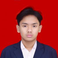 Muhammad Syamsudin Ilham