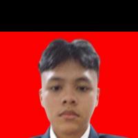 Muhammad Farrel Mufianto