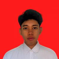 Muhammad Alfian Fahmy
