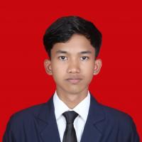 Muhammad Zaki