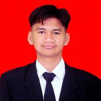 Nafi Udin Maulidani