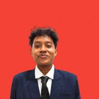 Muhammad Erlambang Junaizar