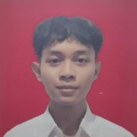 Mirza Ardiansyah Wiguna