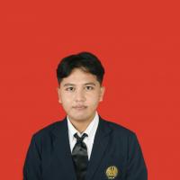 M. Hisyam Naufal Ash Shidqiey
