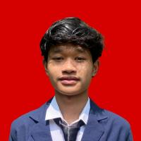 Tri Hadi Mulya Habibi