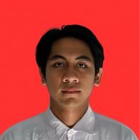 Muhammad Narendra Ghozi Arrusydi