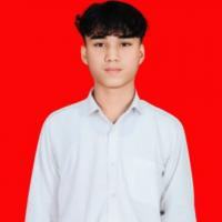 Dwi Vikri Prasestyo Daulay