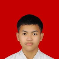 M. Hilmi Adani Putra