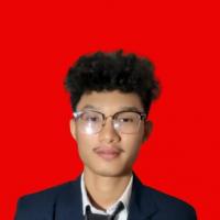 Satriyo Haidar Ali