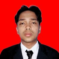 Muhammad Davin Aulia Shofa