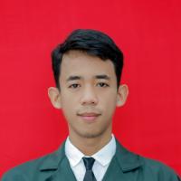 Mohammad Khoirul Anam