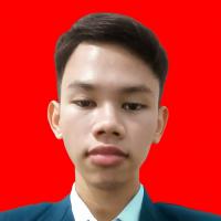 Muhammad Hilmi Ali Ridho
