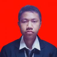 Muhammad Habibi Daffa Nur Nabil