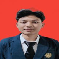 Afin Maulana